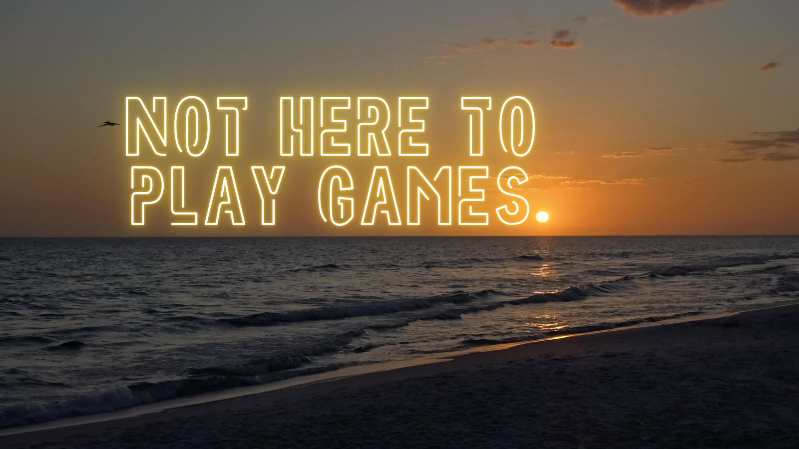 We Didn't Come Here to Play Video Games